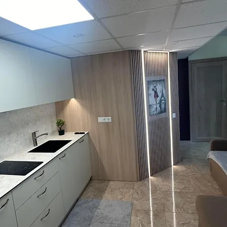 Draugystes Apartmentai Apartment Kaunas