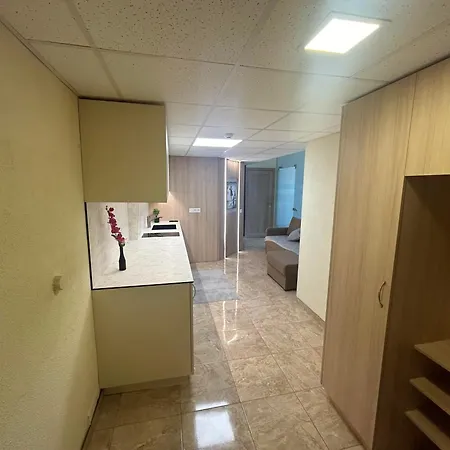 Apartment Draugystes Apartmentai Kaunas