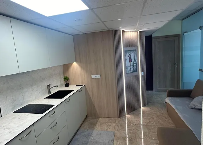 Draugystes Apartmentai Appartement Kaunas